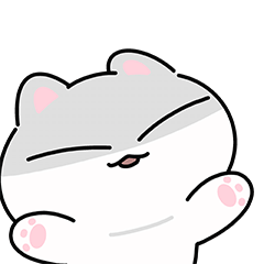 一只开心的小猫在等待回答